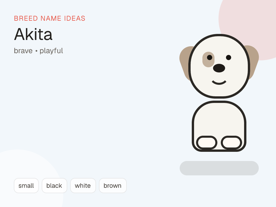 Akita dog name generator visual