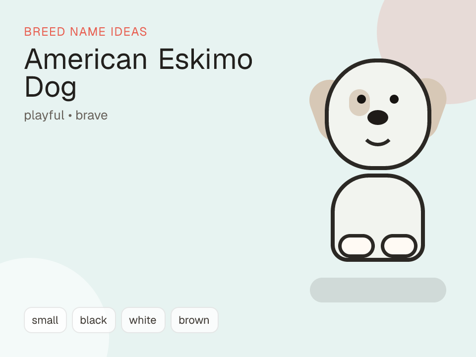 American Eskimo Dog dog name generator visual