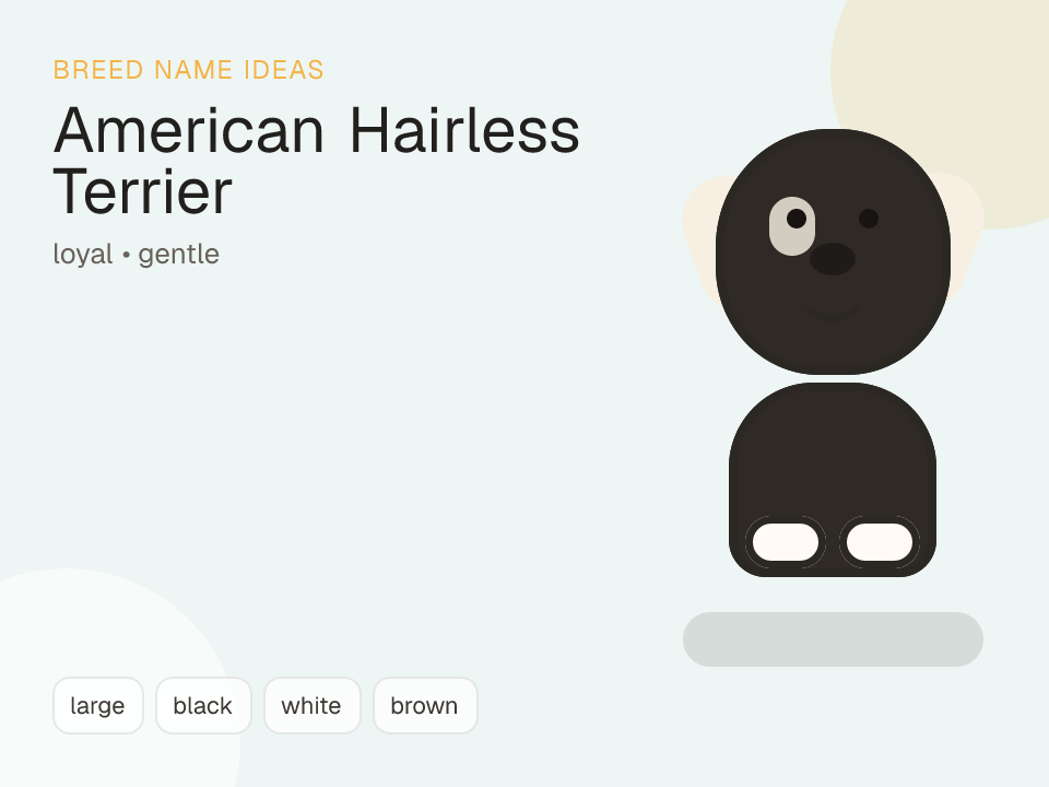 American Hairless Terrier dog name generator visual