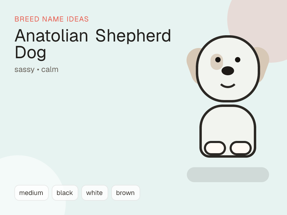 Anatolian Shepherd Dog dog name generator visual