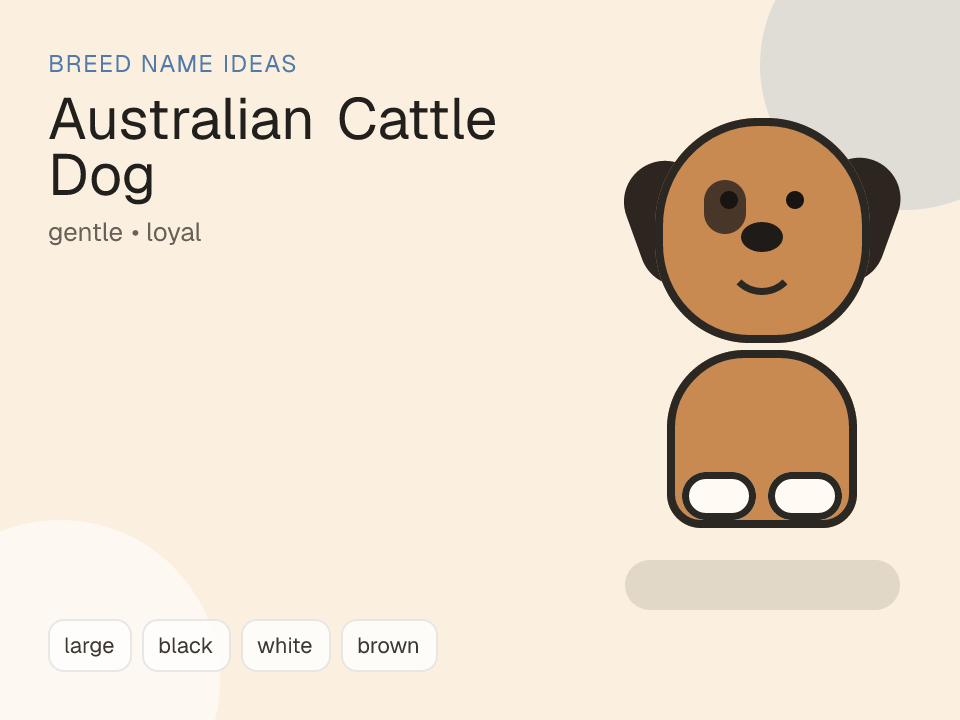 Australian Cattle Dog dog name generator visual