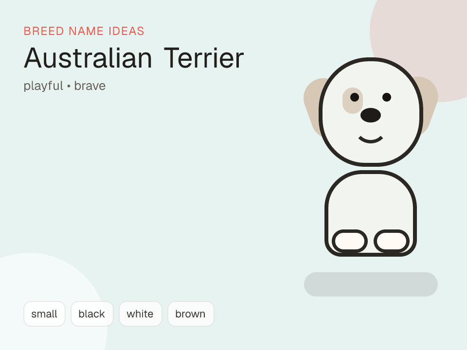 Australian Terrier dog name generator visual