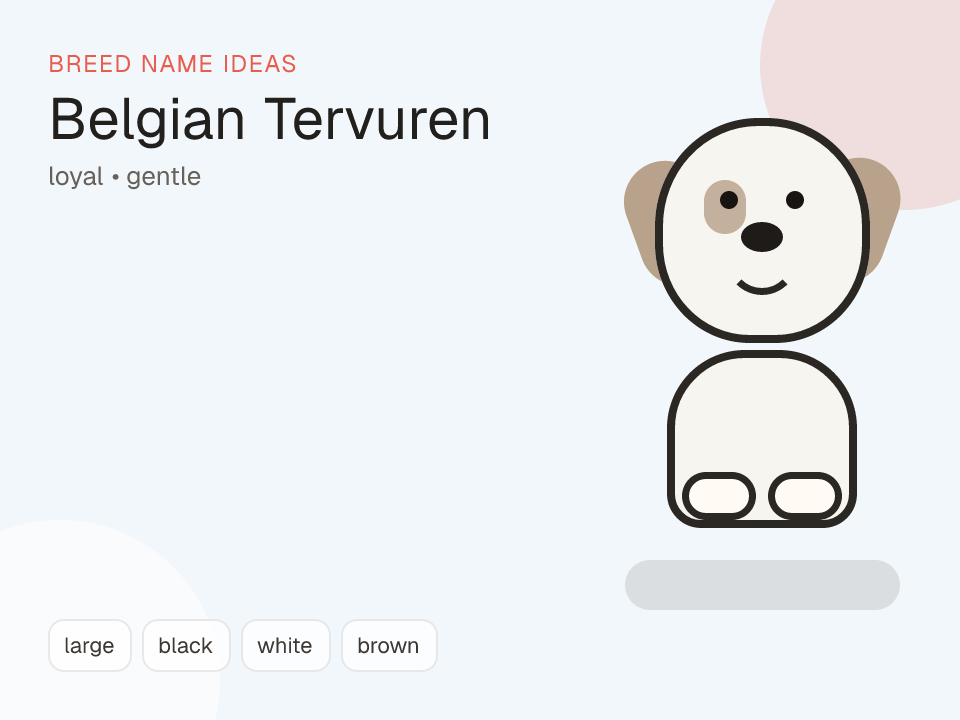Belgian Tervuren dog name generator visual