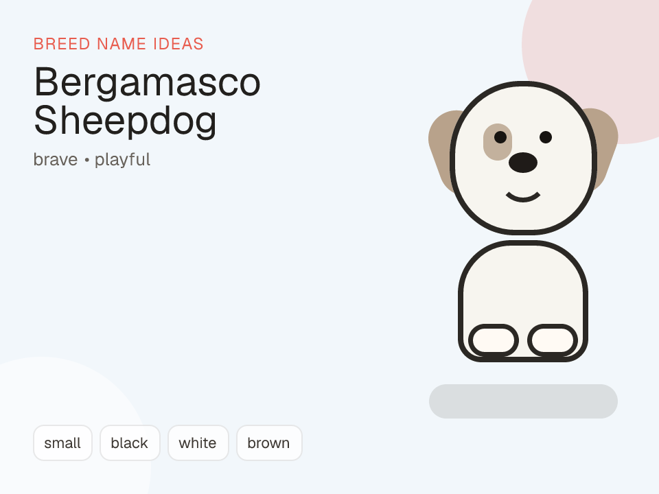 Bergamasco Sheepdog dog name generator visual