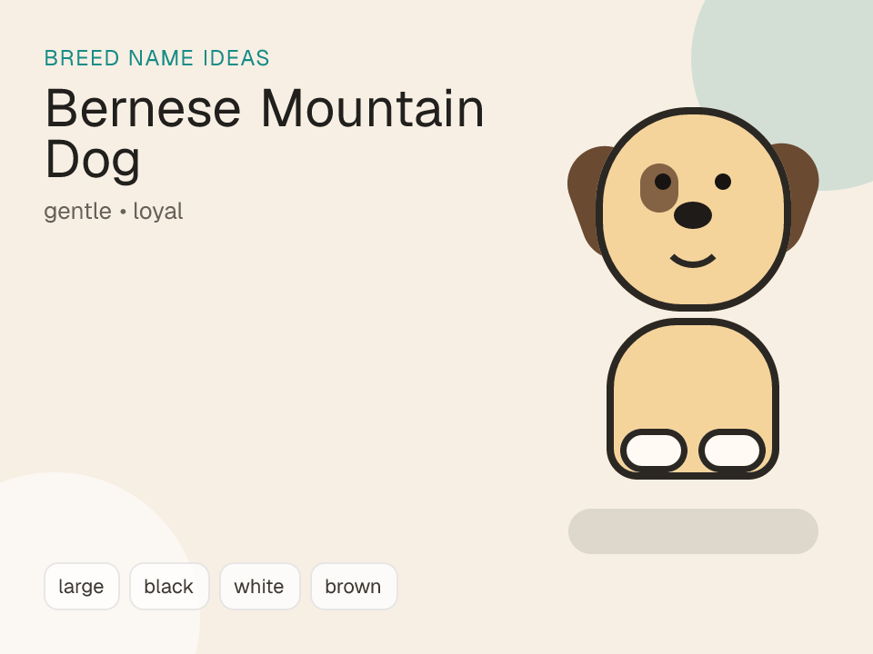 Bernese Mountain Dog dog name generator visual