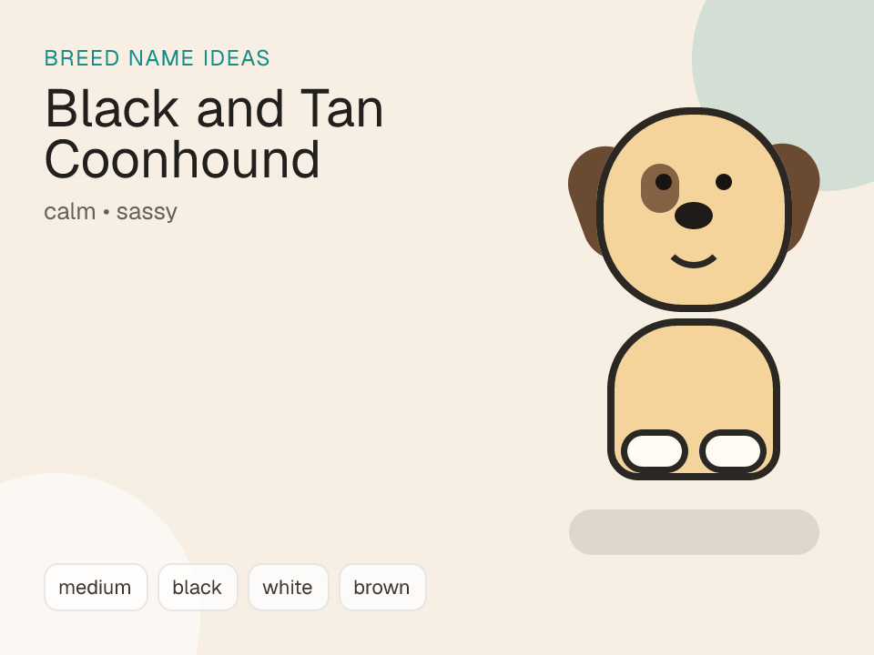 Black and Tan Coonhound dog name generator visual