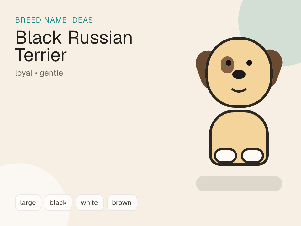 Black Russian Terrier dog name generator visual