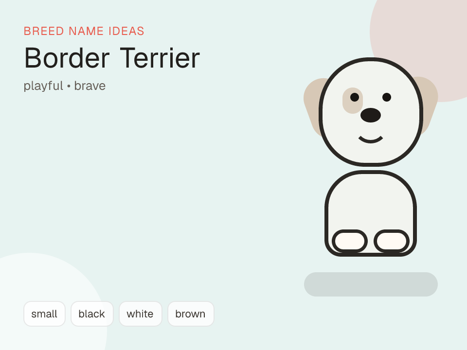 Border Terrier dog name generator visual