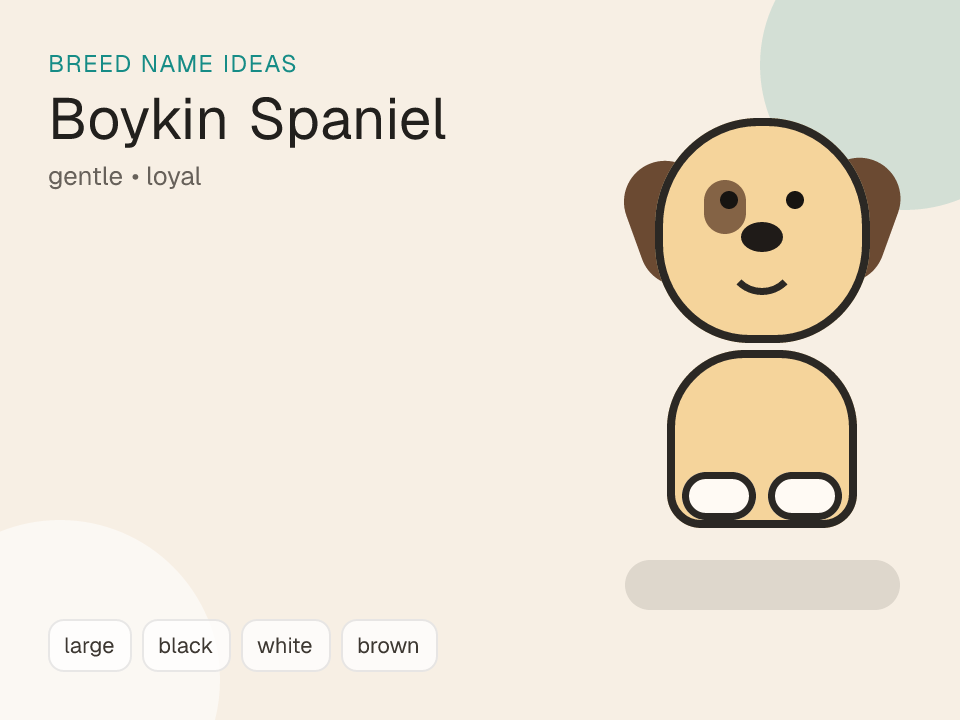 Boykin Spaniel dog name generator visual