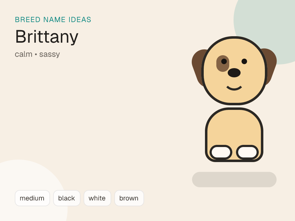 Brittany dog name generator visual