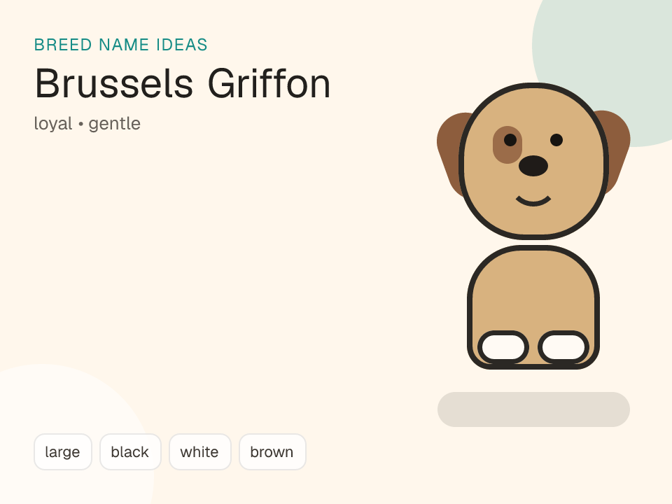Brussels Griffon dog name generator visual