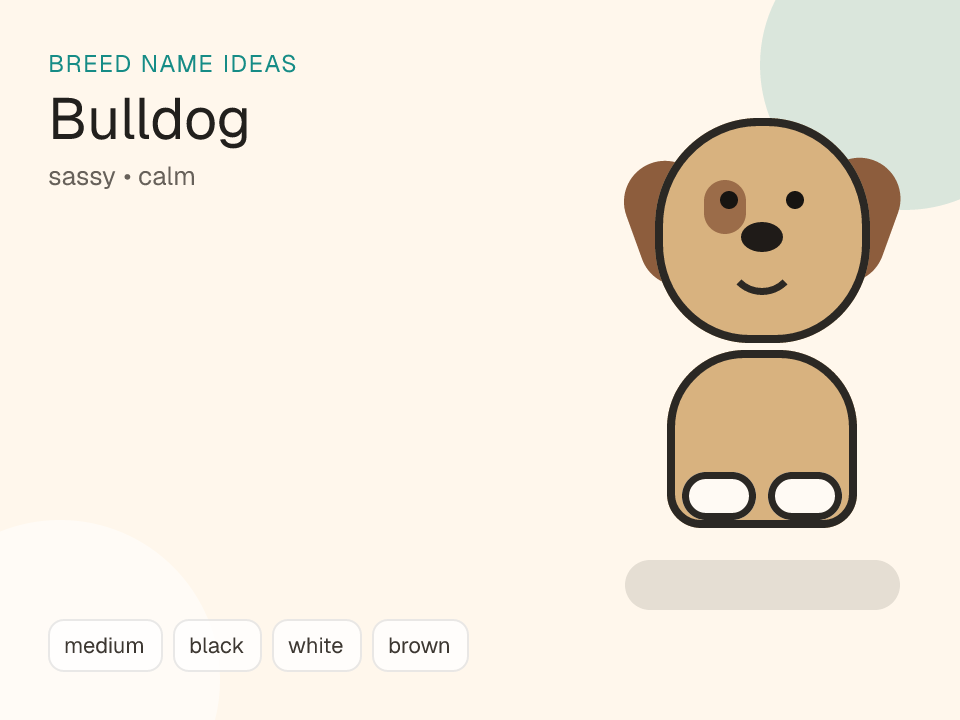 Bulldog dog name generator visual