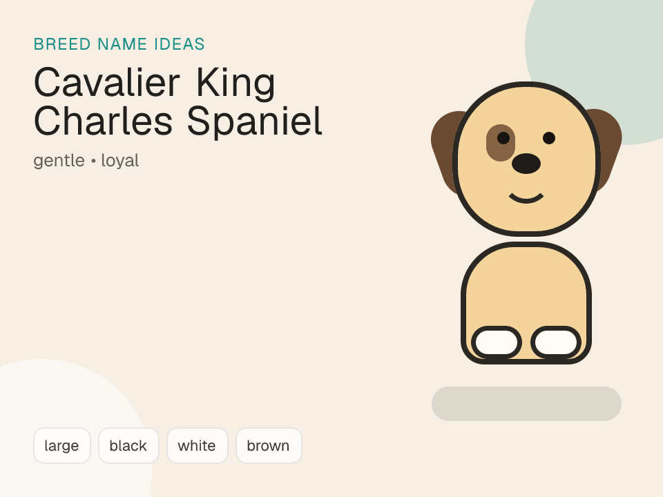 Cavalier King Charles Spaniel dog name generator visual