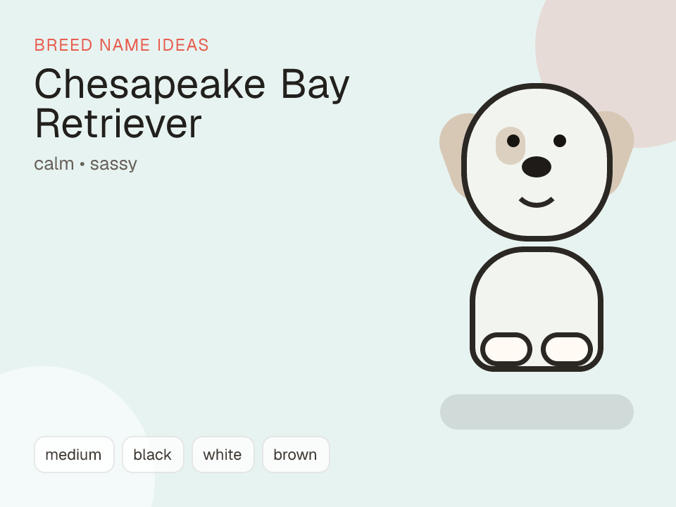 Chesapeake Bay Retriever dog name generator visual