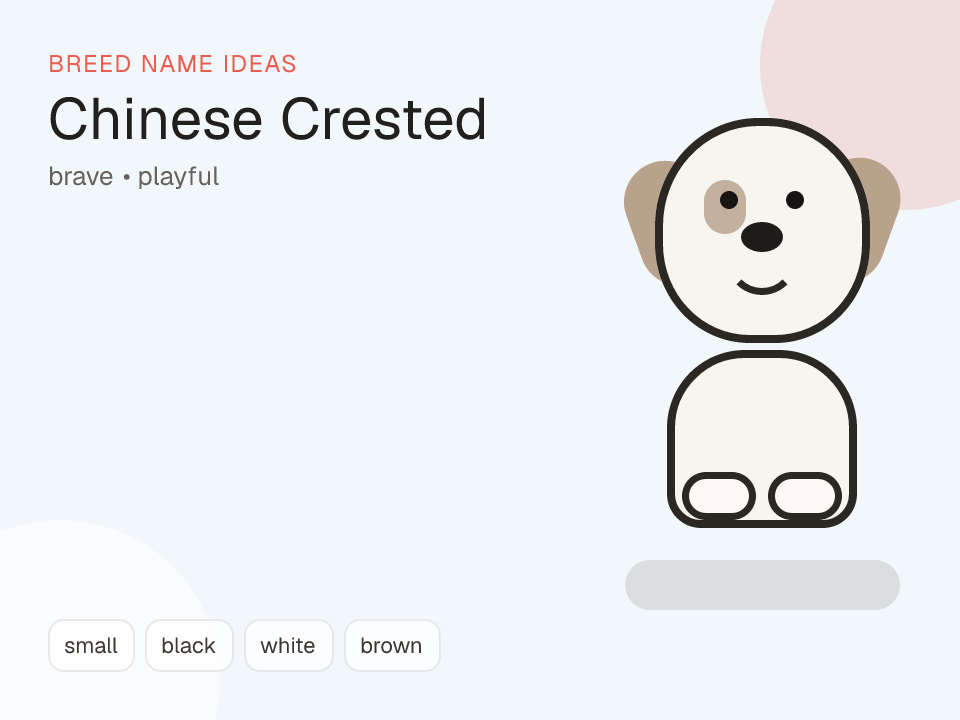 Chinese Crested dog name generator visual