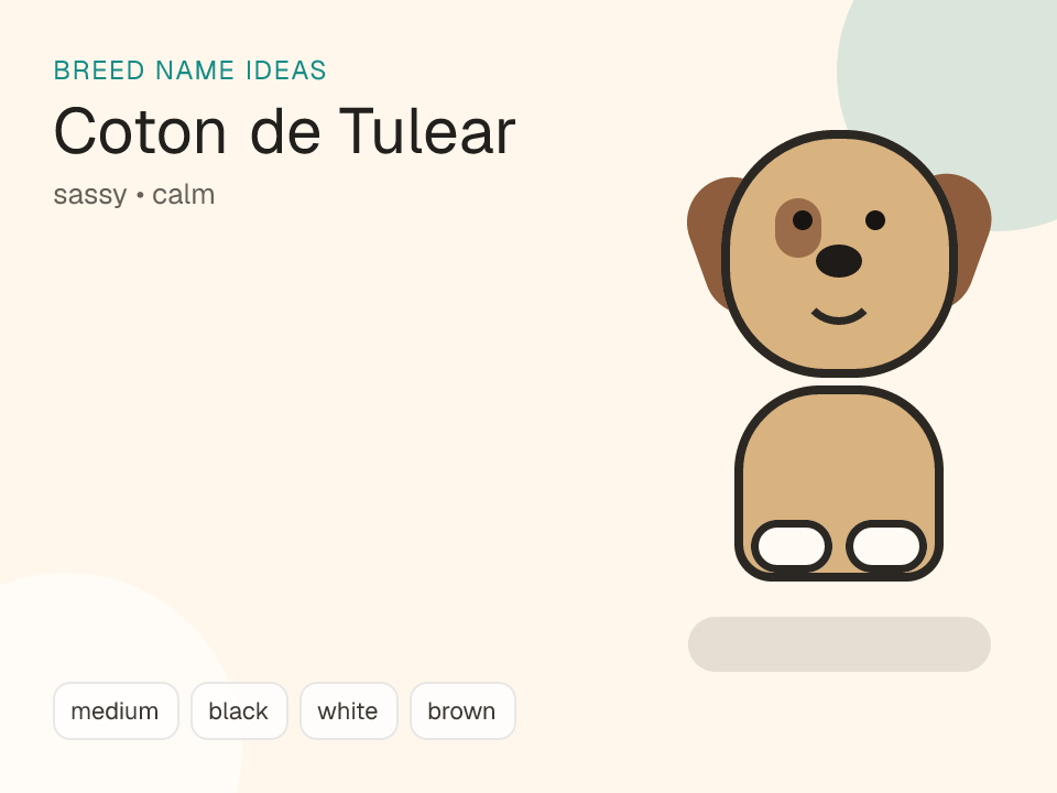 Coton de Tulear dog name generator visual