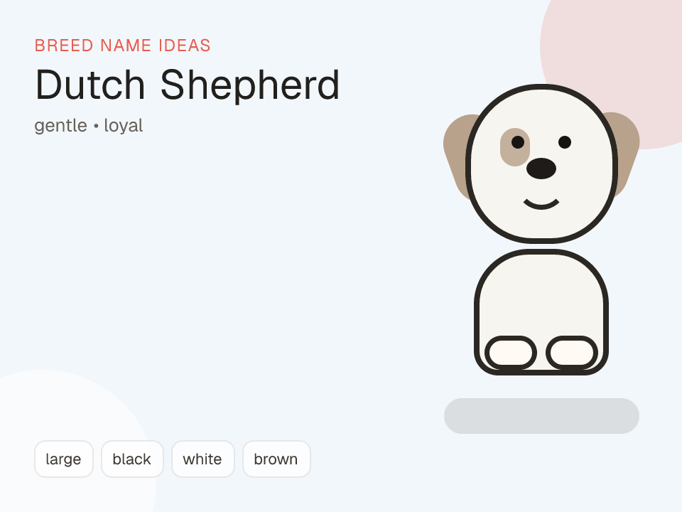 Dutch Shepherd dog name generator visual