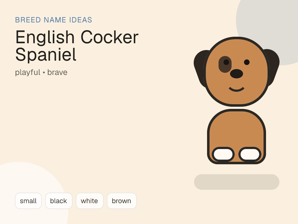 English Cocker Spaniel dog name generator visual