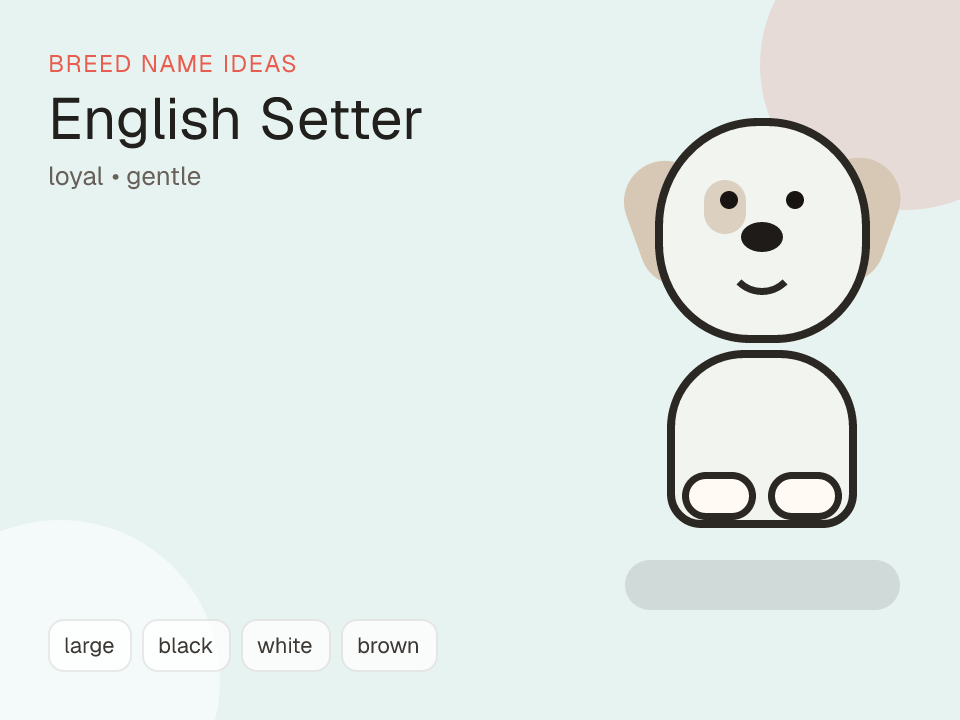 English Setter dog name generator visual