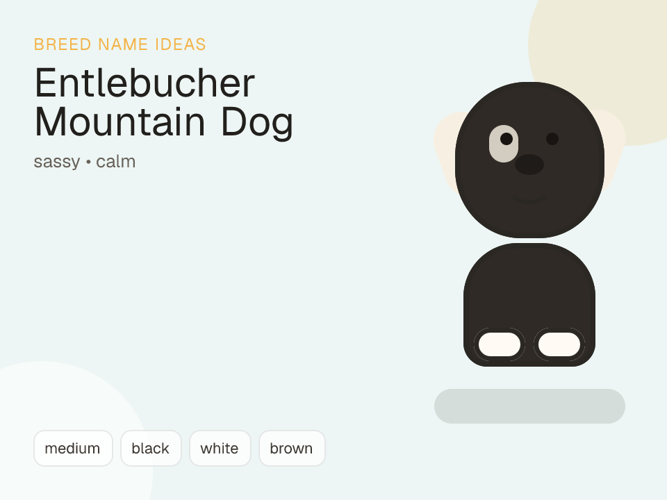 Entlebucher Mountain Dog dog name generator visual