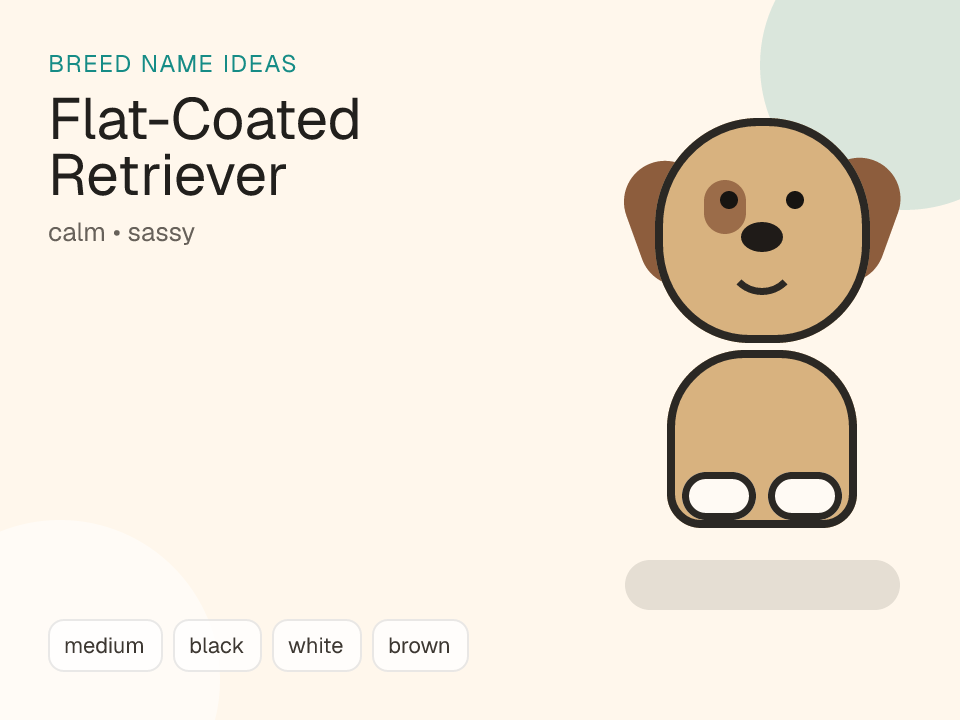 Flat-Coated Retriever dog name generator visual