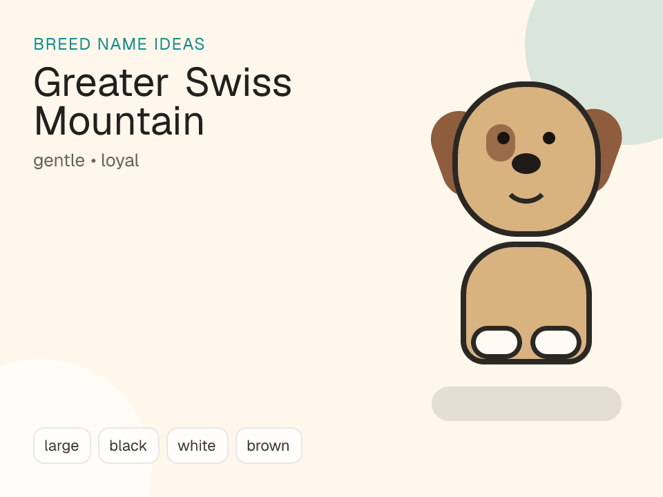 Greater Swiss Mountain Dog dog name generator visual