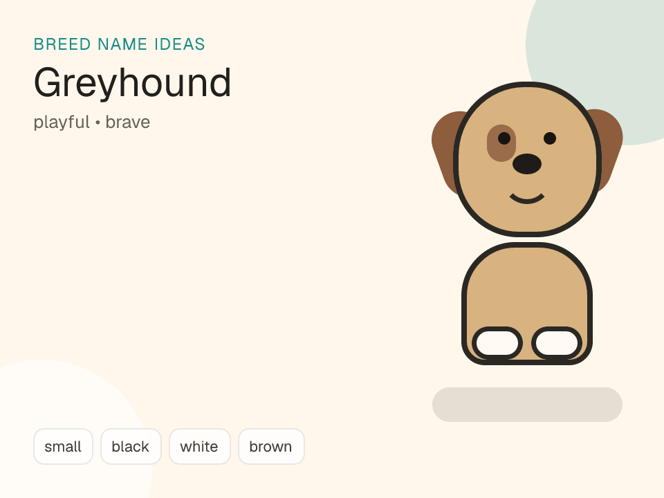 Greyhound dog name generator visual