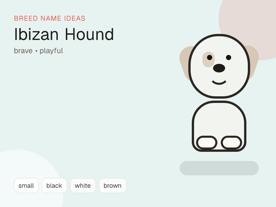 Ibizan Hound dog name generator visual
