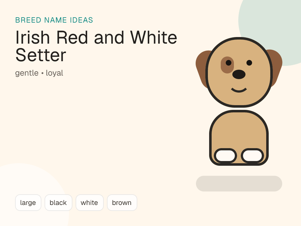 Irish Red and White Setter dog name generator visual