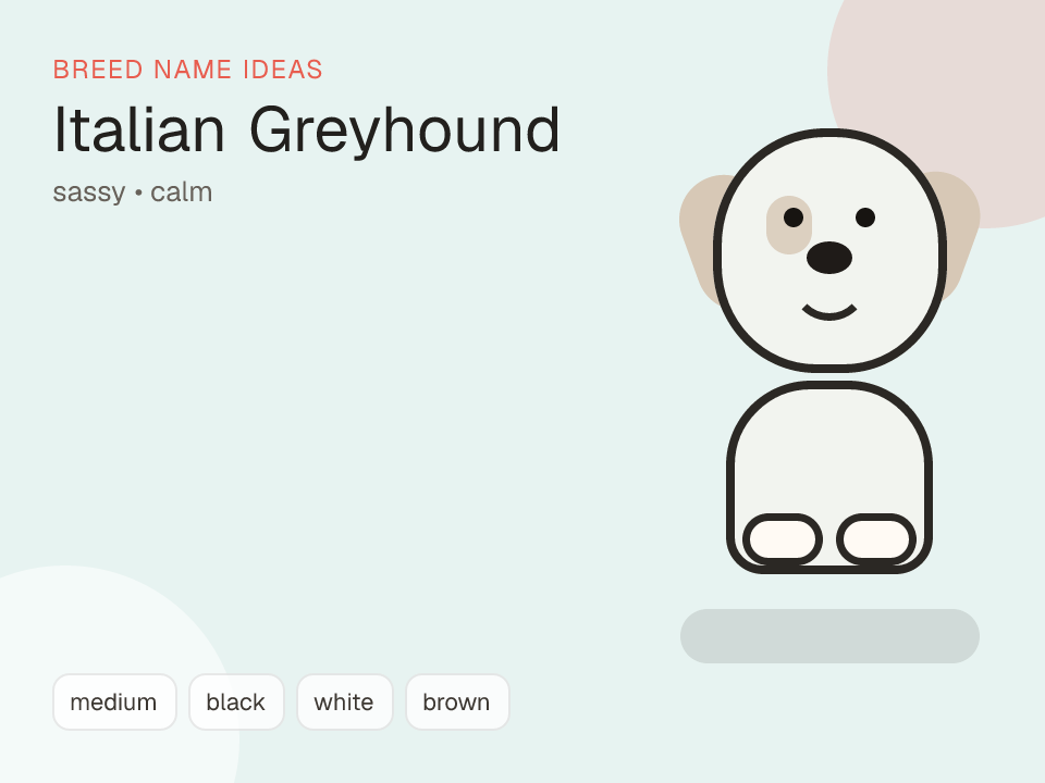 Italian Greyhound dog name generator visual