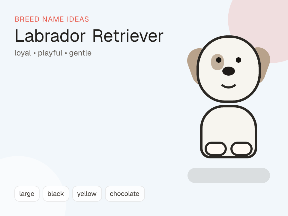 Labrador Retriever dog name generator visual