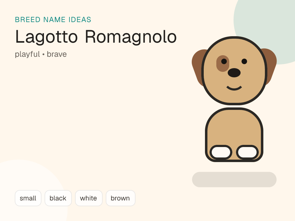 Lagotto Romagnolo dog name generator visual