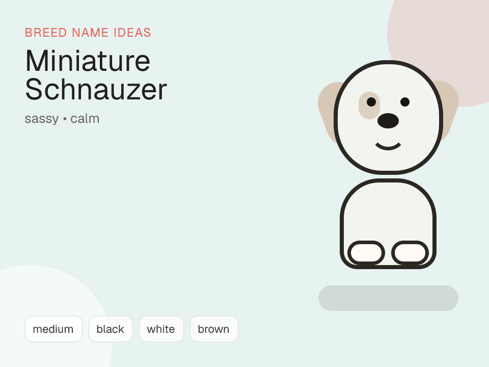 Miniature Schnauzer dog name generator visual