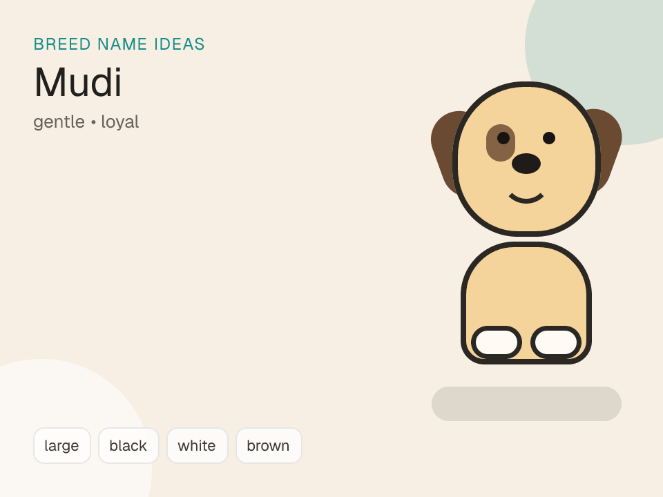 Mudi dog name generator visual