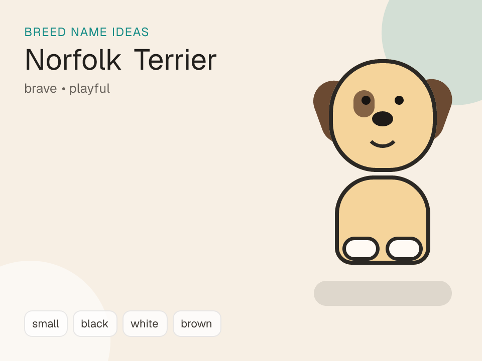 Norfolk Terrier dog name generator visual
