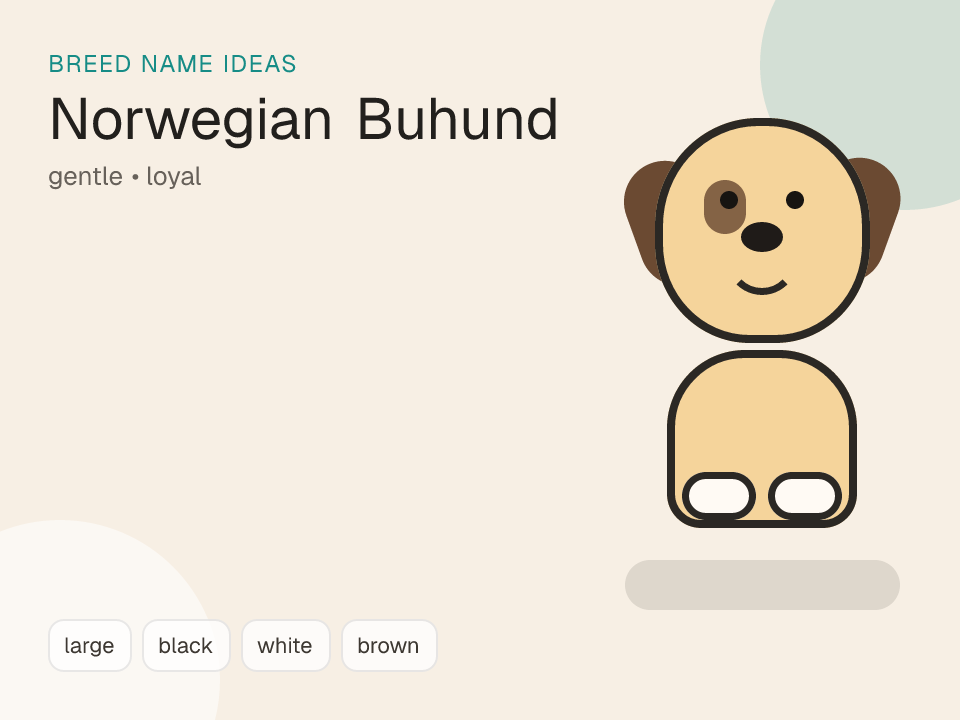 Norwegian Buhund dog name generator visual