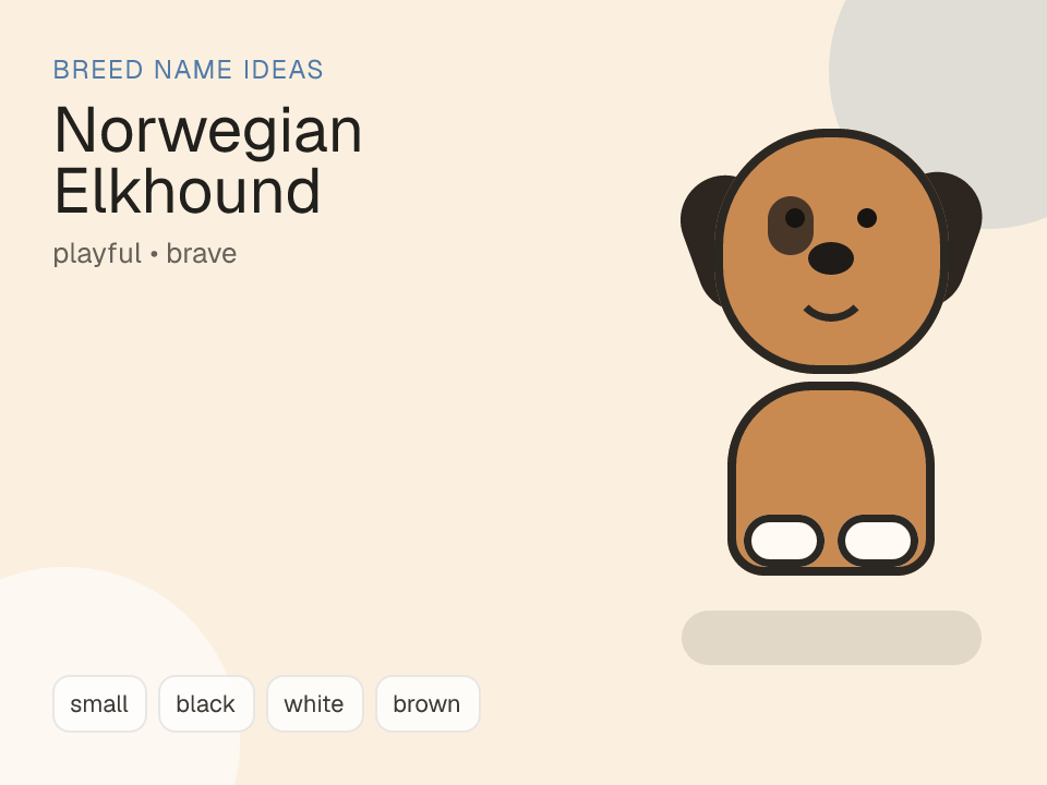 Norwegian Elkhound dog name generator visual
