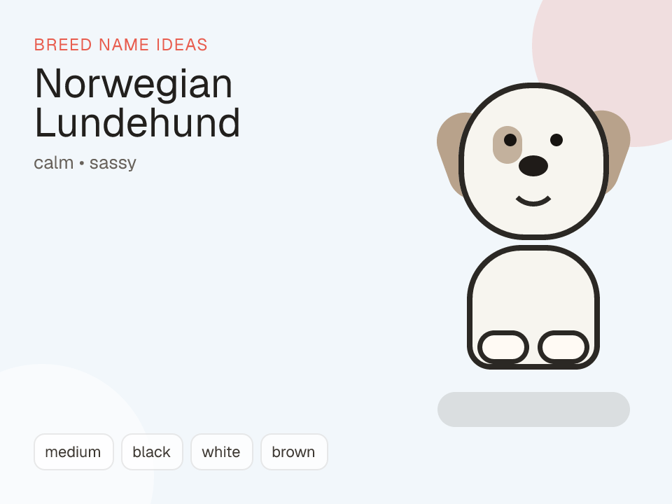 Norwegian Lundehund dog name generator visual