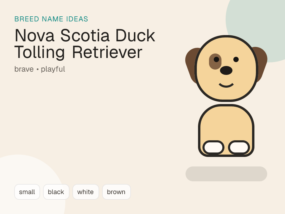 Nova Scotia Duck Tolling Retriever dog name generator visual