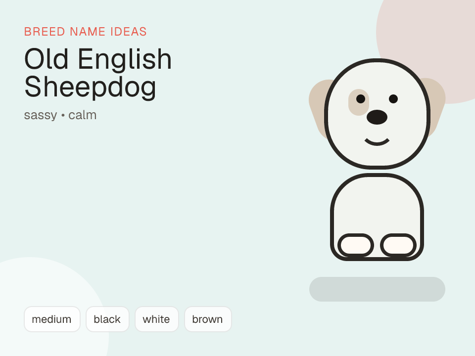 Old English Sheepdog dog name generator visual