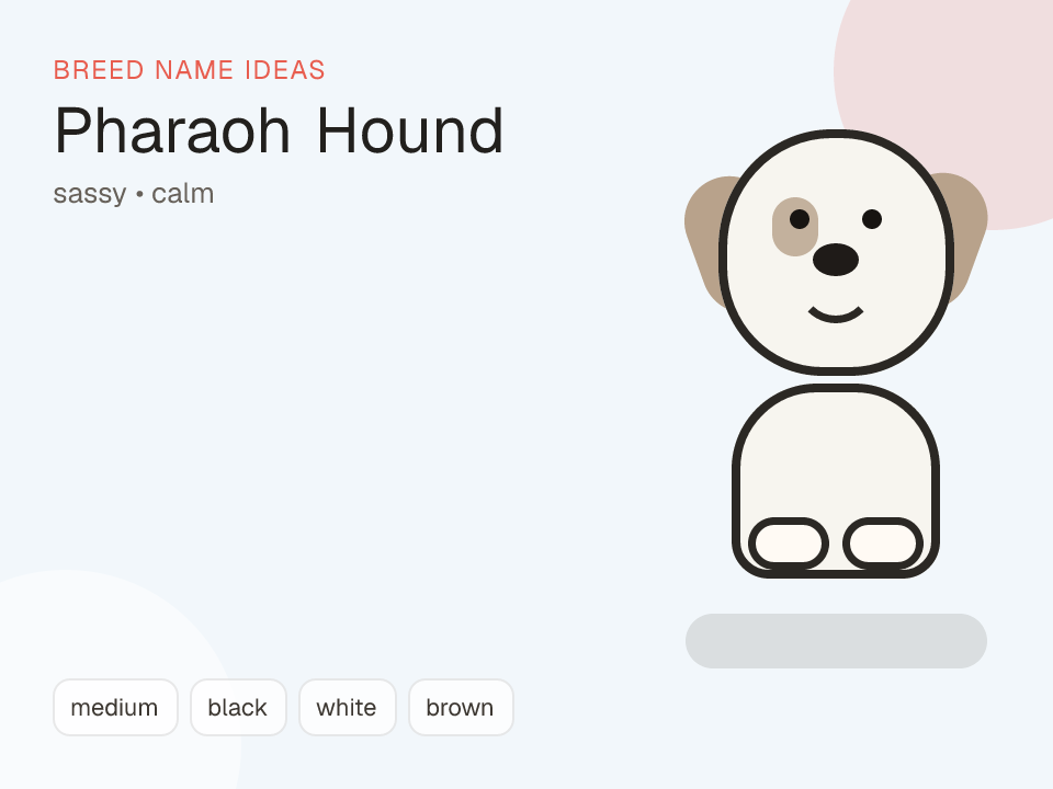 Pharaoh Hound dog name generator visual