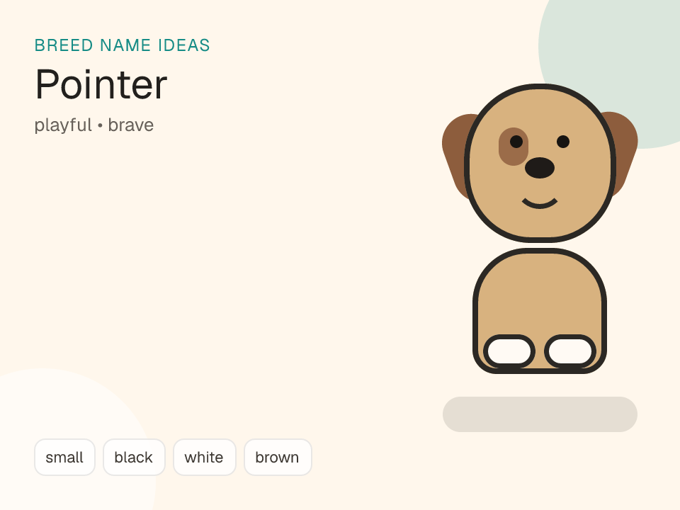 Pointer dog name generator visual
