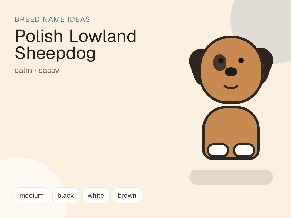 Polish Lowland Sheepdog dog name generator visual