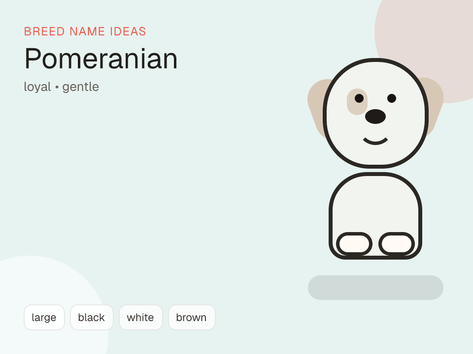 Pomeranian dog name generator visual