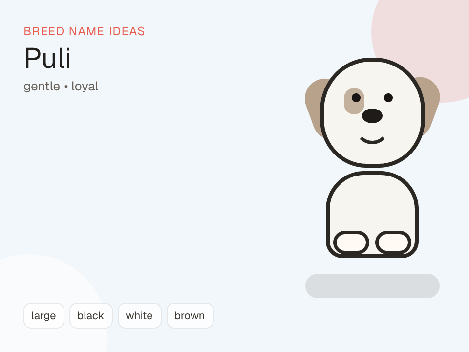 Puli dog name generator visual