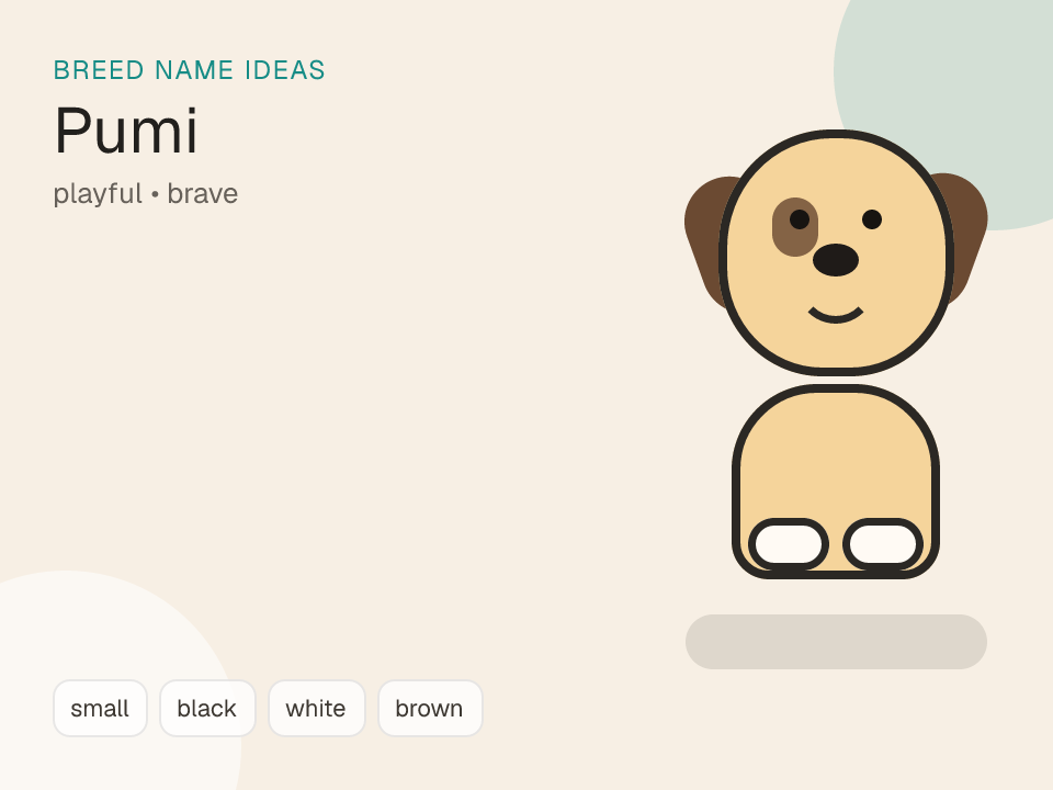 Pumi dog name generator visual
