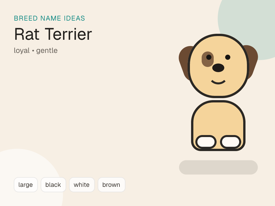 Rat Terrier dog name generator visual