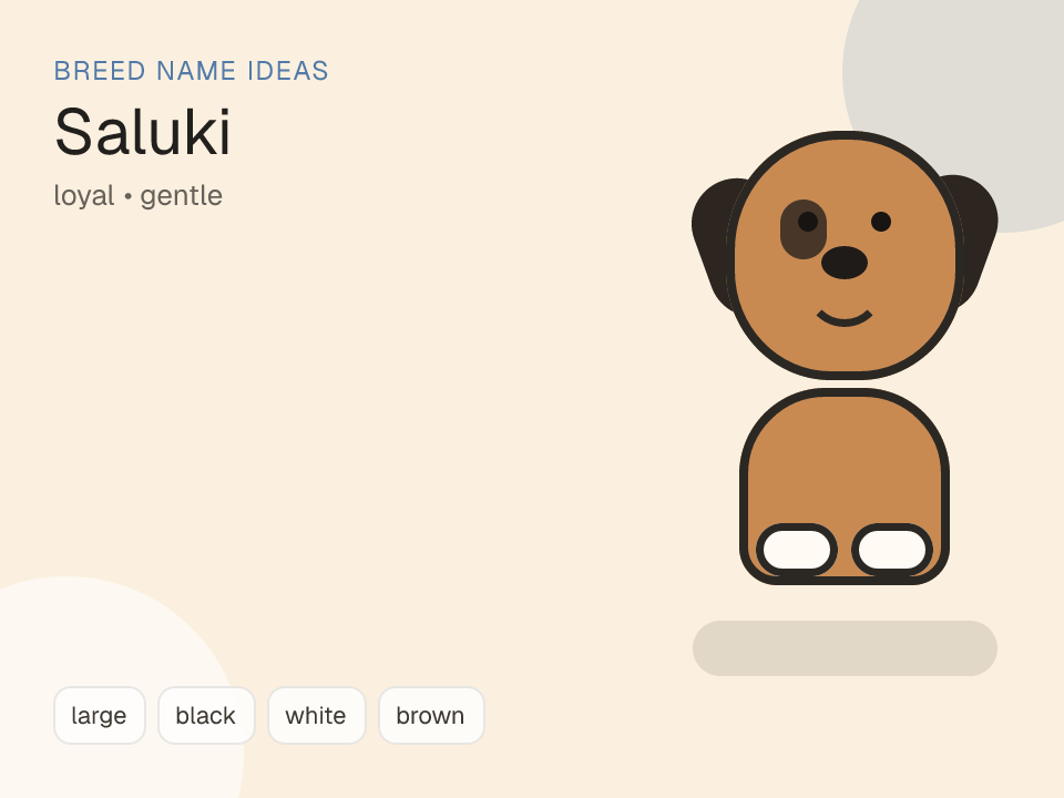Saluki dog name generator visual