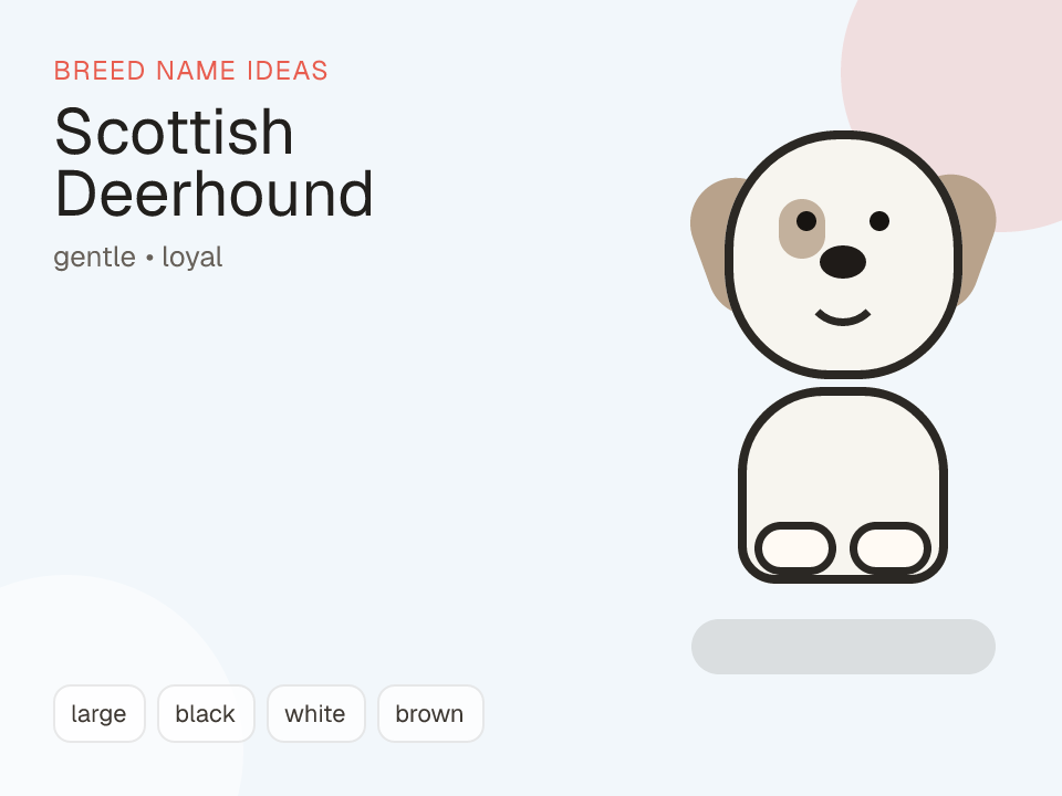 Scottish Deerhound dog name generator visual