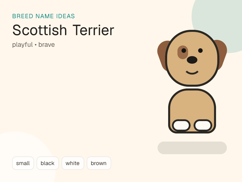 Scottish Terrier dog name generator visual